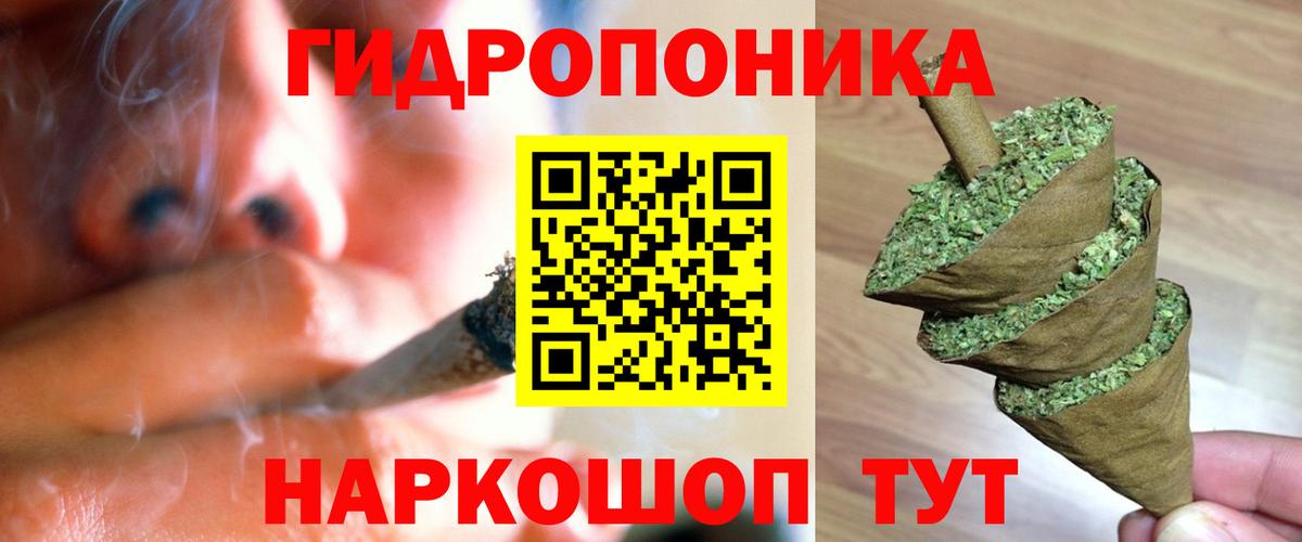 Шишки марихуана сатива Элиста